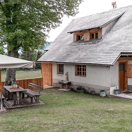Holiday House Franc Srednja Vas v Bohinju Exteriör bild
